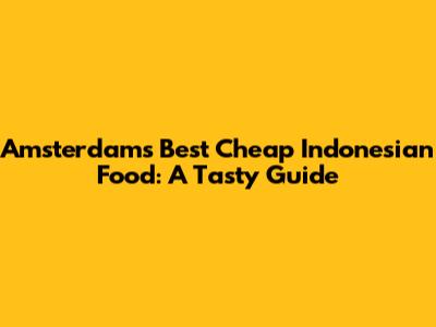 Amsterdam's Best Cheap Indonesian Food: A Tasty Guide