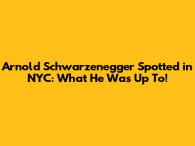 Arnold Schwarzenegger Spotted in NYC: What He Was Up To!