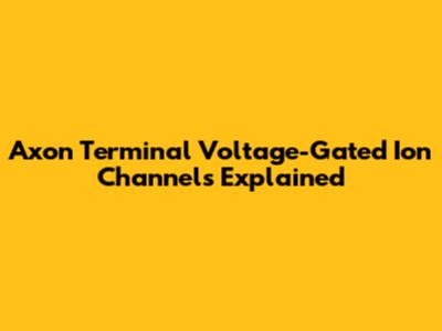 Axon Terminal Voltage-Gated Ion Channels Explained