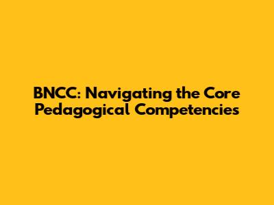 BNCC: Navigating the Core Pedagogical Competencies