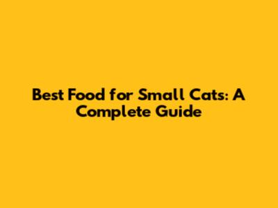 Best Food for Small Cats: A Complete Guide