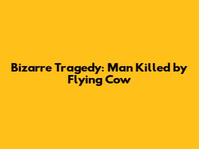 Bizarre Tragedy: Man Killed by Flying Cow