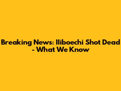 Breaking News: IIiboechi Shot Dead - What We Know