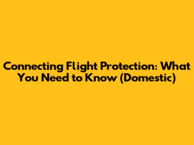 Connecting Flight Protection: What You Need to Know (Domestic)