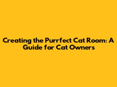 Creating the Purrfect Cat Room: A Guide for Cat Owners