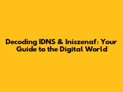 Decoding IDNS & Iniszenaf: Your Guide to the Digital World