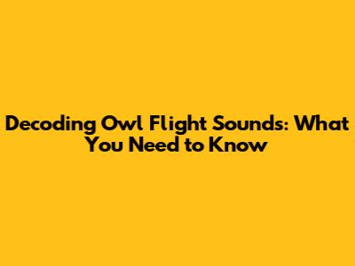 Decoding Owl Flight Sounds: What You Need to Know