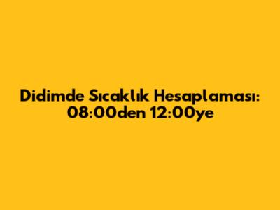 Didim'de Sıcaklık Hesaplaması: 08:00'den 12:00'ye