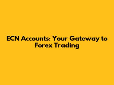 ECN Accounts: Your Gateway to Forex Trading