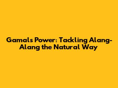 Gamal's Power: Tackling Alang-Alang the Natural Way