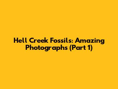 Hell Creek Fossils: Amazing Photographs (Part 1)