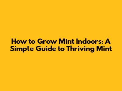 How to Grow Mint Indoors: A Simple Guide to Thriving Mint