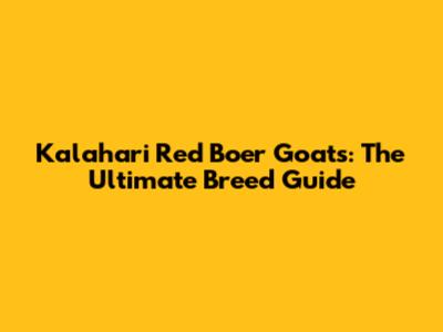 Kalahari Red Boer Goats: The Ultimate Breed Guide