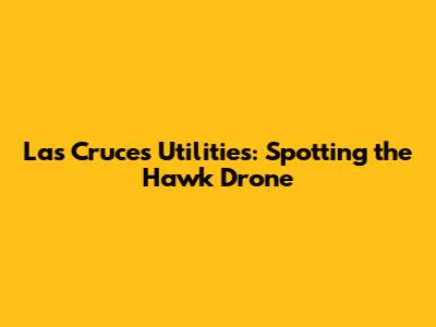 Las Cruces Utilities: Spotting the Hawk Drone