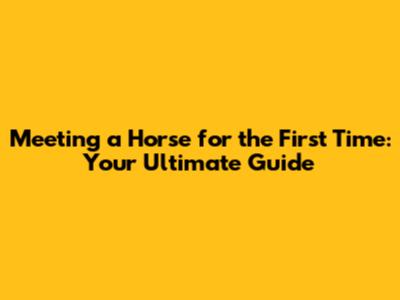 Meeting a Horse for the First Time: Your Ultimate Guide