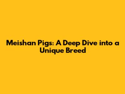 Meishan Pigs: A Deep Dive into a Unique Breed