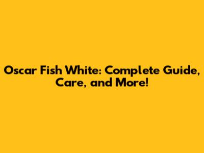 Oscar Fish White: Complete Guide, Care, and More!
