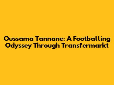 Oussama Tannane: A Footballing Odyssey Through Transfermarkt