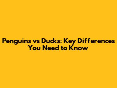 Penguins vs Ducks: Key Differences You Need to Know