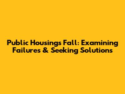 Public Housing's Fall: Examining Failures & Seeking Solutions