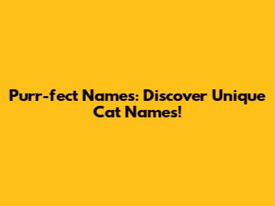 Purr-fect Names: Discover Unique Cat Names!