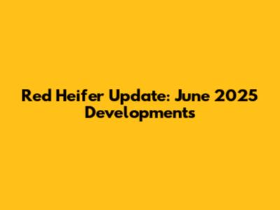 Red Heifer Update: June 2025 Developments