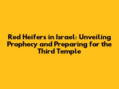 Red Heifers in Israel: Unveiling Prophecy and Preparing for the Third Temple