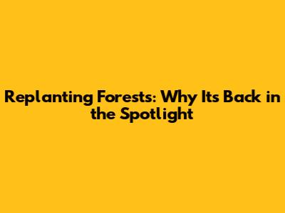Replanting Forests: Why It's Back in the Spotlight