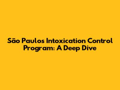 São Paulo's Intoxication Control Program: A Deep Dive
