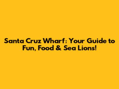 Santa Cruz Wharf: Your Guide to Fun, Food & Sea Lions!