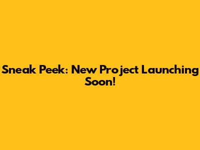 Sneak Peek: New Project Launching Soon!