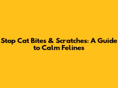 Stop Cat Bites & Scratches: A Guide to Calm Felines