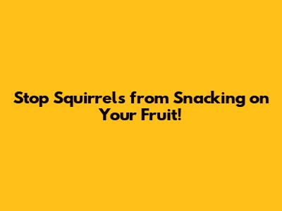 Stop Squirrels from Snacking on Your Fruit!