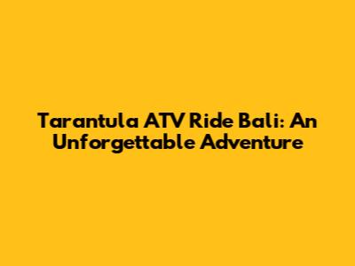 Tarantula ATV Ride Bali: An Unforgettable Adventure