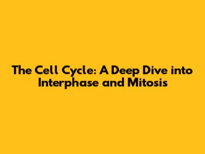 The Cell Cycle: A Deep Dive into Interphase and Mitosis