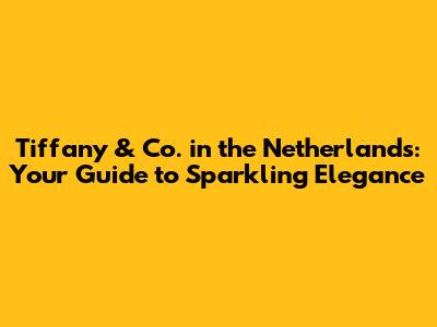 Tiffany & Co. in the Netherlands: Your Guide to Sparkling Elegance