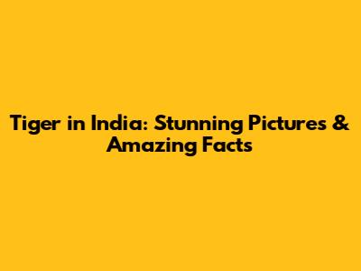 Tiger in India: Stunning Pictures & Amazing Facts