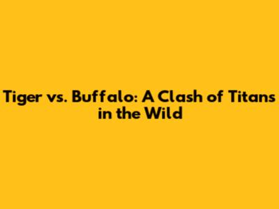 Tiger vs. Buffalo: A Clash of Titans in the Wild