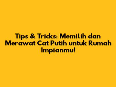 Tips & Tricks: Memilih dan Merawat Cat Putih untuk Rumah Impianmu!