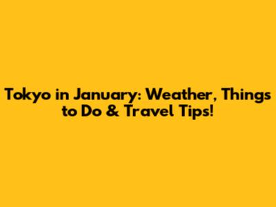Tokyo in January: Weather, Things to Do & Travel Tips!
