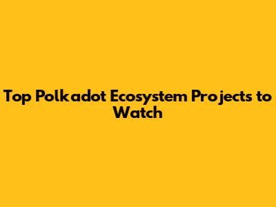 Top Polkadot Ecosystem Projects to Watch