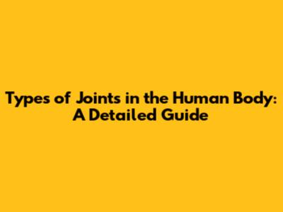 Types of Joints in the Human Body: A Detailed Guide