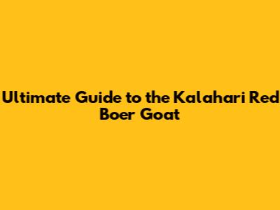 Ultimate Guide to the Kalahari Red Boer Goat