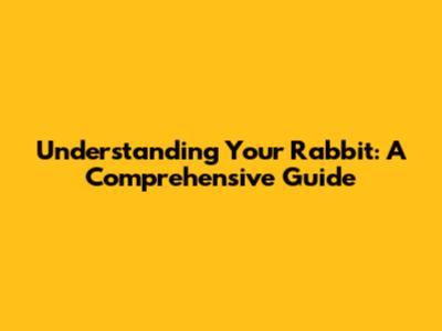 Understanding Your Rabbit: A Comprehensive Guide