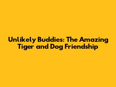 Unlikely Buddies: The Amazing Tiger and Dog Friendship