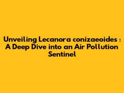 Unveiling *Lecanora conizaeoides*: A Deep Dive into an Air Pollution Sentinel
