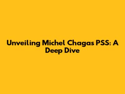 Unveiling Michel Chagas PSS: A Deep Dive