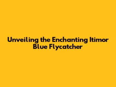 Unveiling the Enchanting Itimor Blue Flycatcher