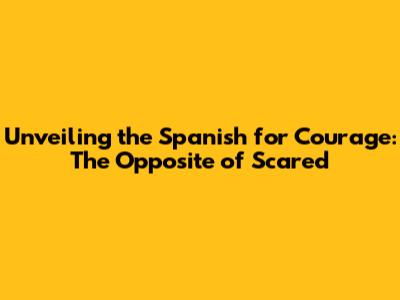 Unveiling the Spanish for Courage: The Opposite of 'Scared'
