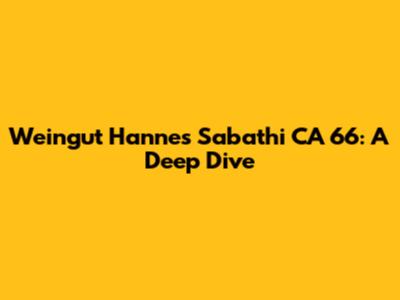 Weingut Hannes Sabathi CA 66: A Deep Dive